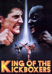 Il Re del Kickboxing (1990)