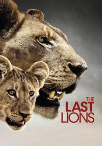L'Ultimo Re dei Leoni (2011)