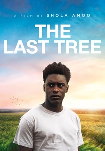 L'Ultimo Albero (2019)