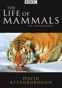 La Vita dei Mammiferi (2002)
