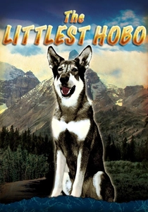Il Piccolo Grande Uomo (1979)