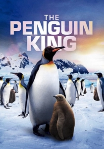Il Re dei Pinguini (2012)