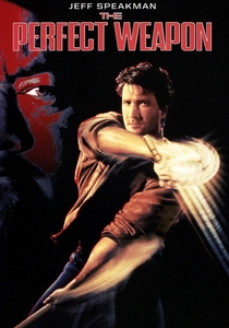 L'arma perfetta (1991)