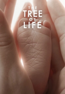 L'Albero della Vita (2012)