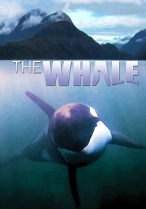 Il Canto della Balena (2011)