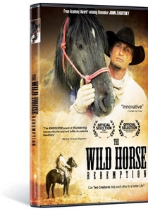 Il cavallo pazzo (2007)