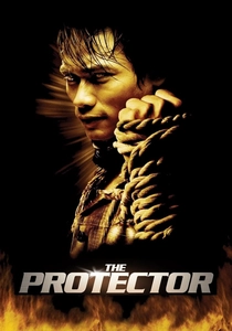 Il Protettore (2005)