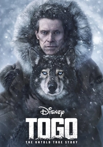 Il Mio Amico Togo (2019)