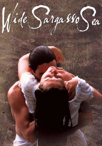 Il grande mare dei Sargassi (1993)