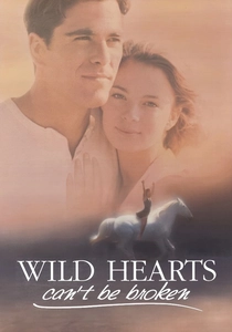 Il ranch dei cavalli selvaggi (1991)