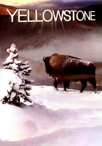 Il Parco Nazionale di Yellowstone (2009)