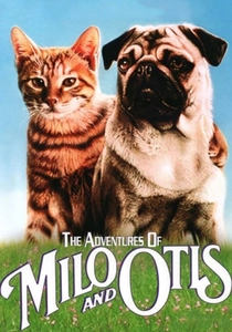 Il Mio Amico Arnold (1986)
