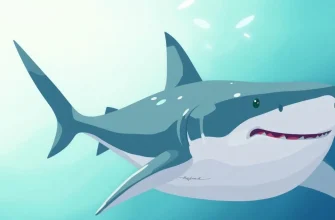 Film su squali: una selezione imperdibile