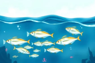 Documentari sui flussi sottomarini