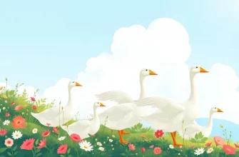 Film sui Ganso: Una Selezione Cinematografica