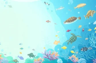 Documentari sulle Esplorazioni Subacquee Documentari sulle Esplorazioni Subacquee